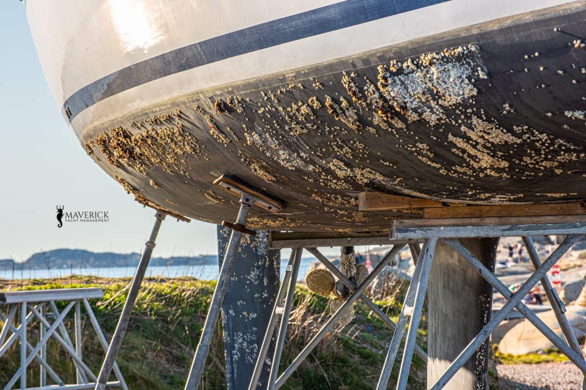 Antifouling Service in Fort Lauderdale: Stop Hull Damage Before It Starts